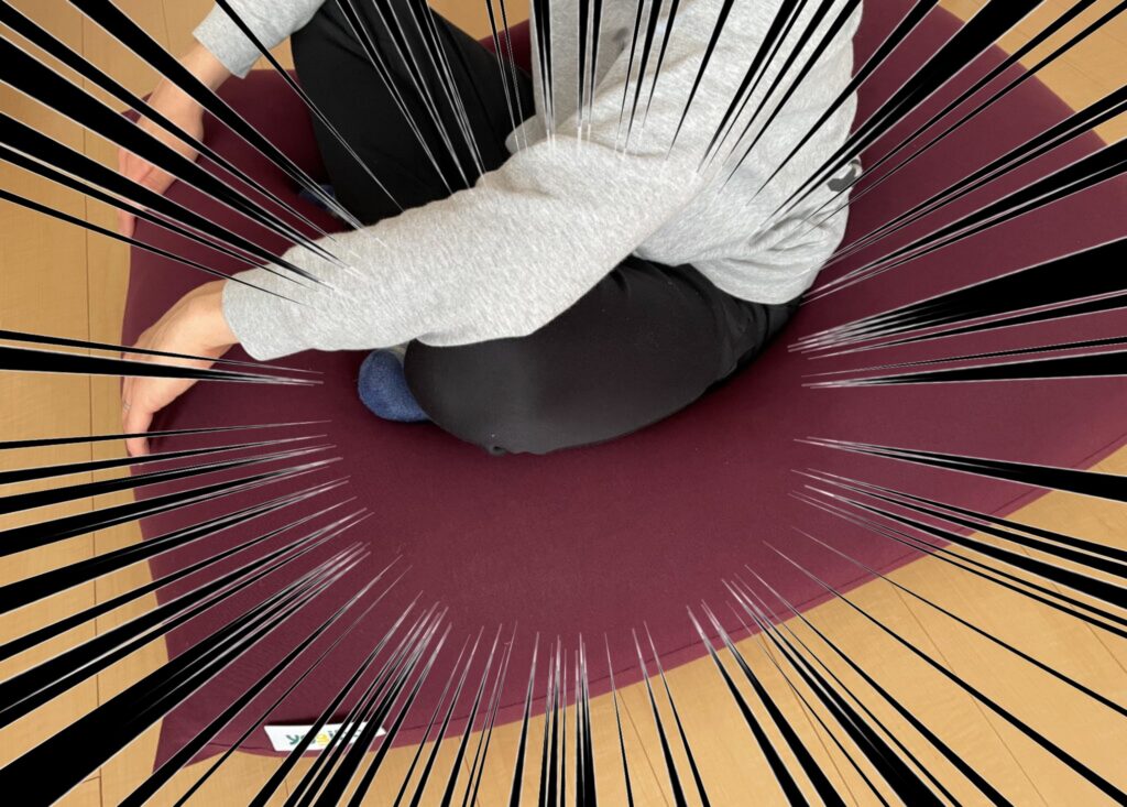 【yogibo】ヨギボー購入｜ストレスない座り心地が最高すぎた：買ったぞ！！！買ったぞ！！！